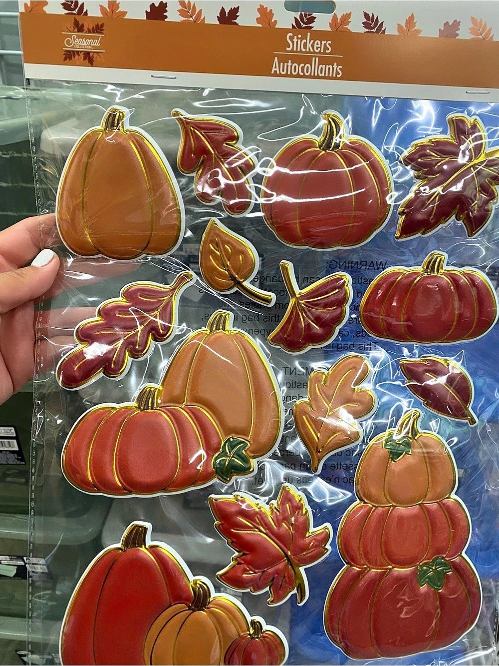 Seasonal Collection Autumn Pumpkin Stickers